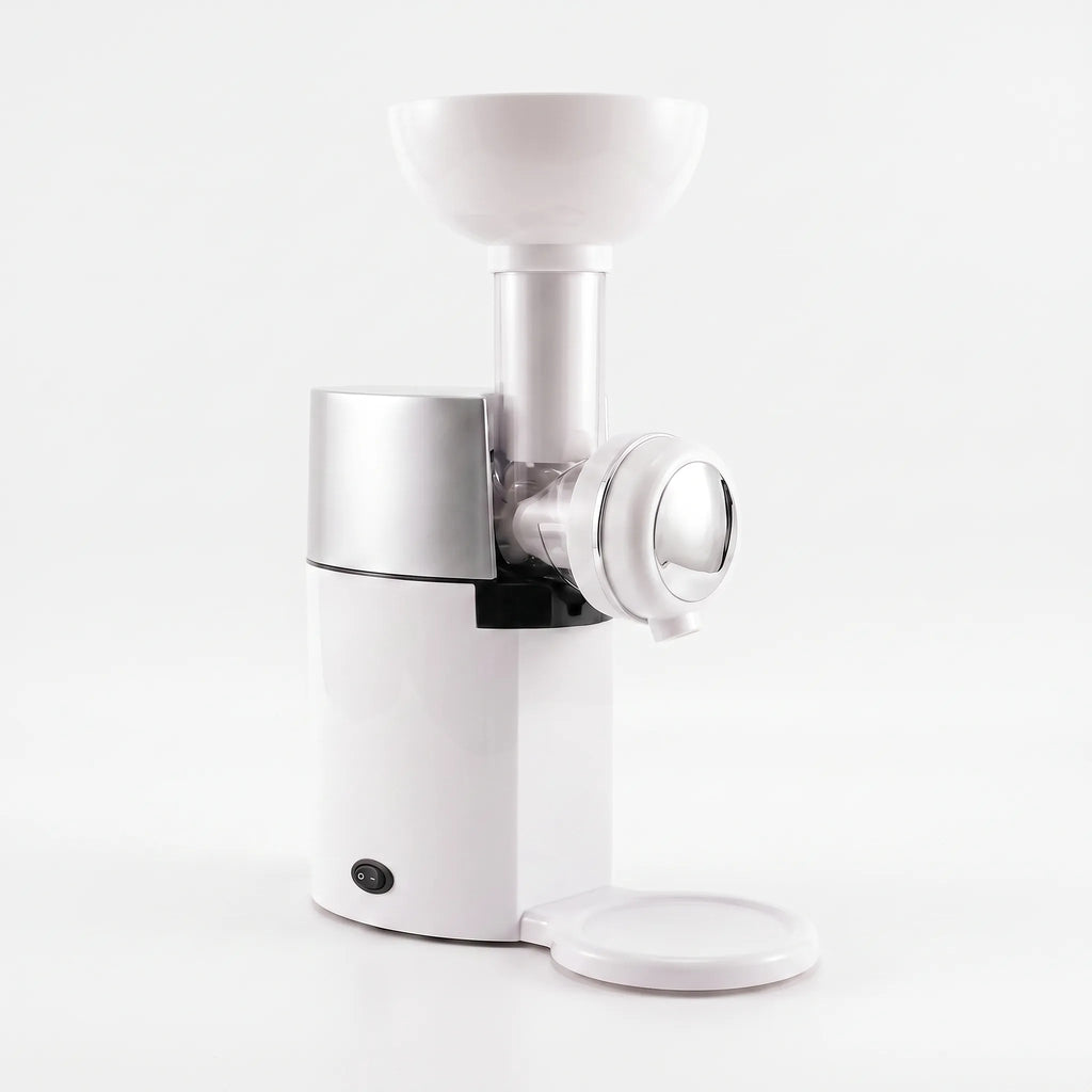 Frozen Fruit Dessert Maker – Healthy Treats, Easy to Use
