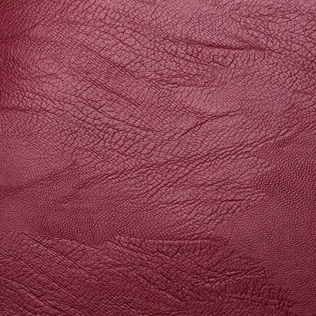 Water-Resistant Leather Backpack for Women – Travel, Everyday Use